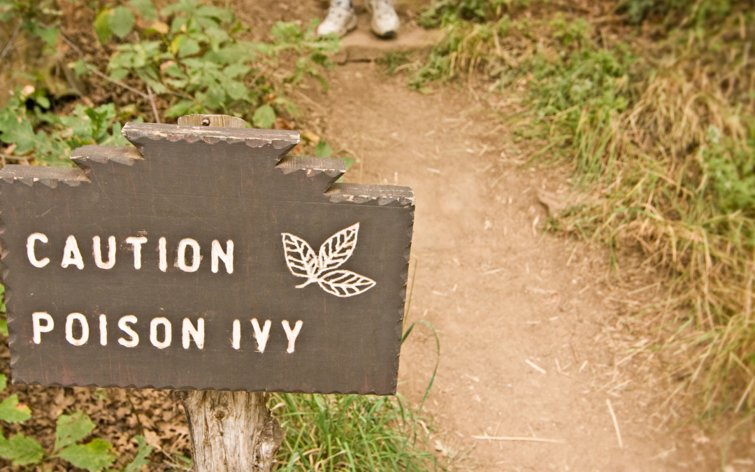 What Does a Poison Ivy Rash Look Like?